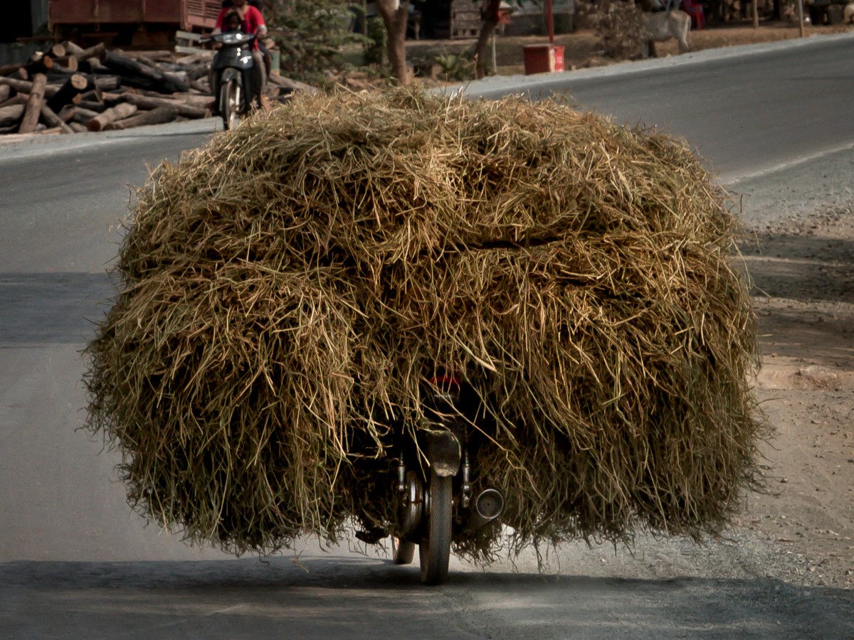 Staying sane in an age of permanent overload 